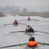 2019 weerribben