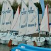 Optimist on Your 2024