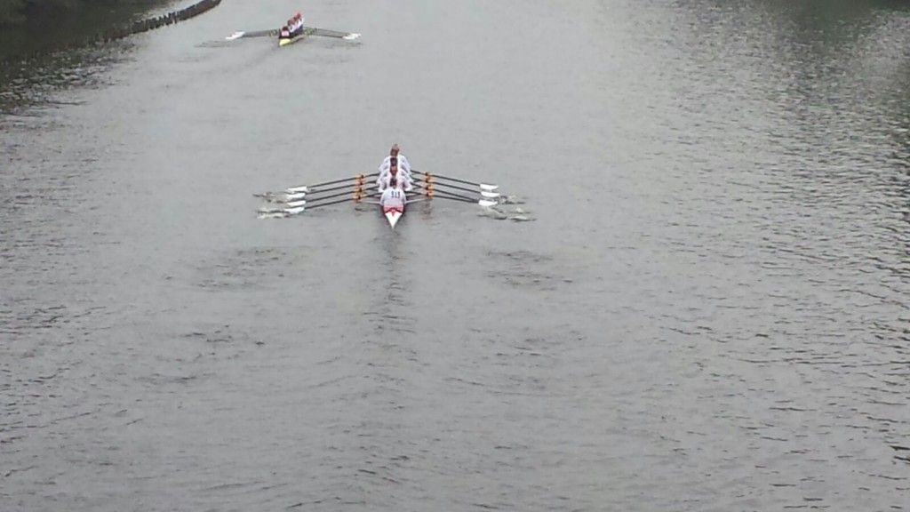 Tromp Boat Races_2015_Animaux 2